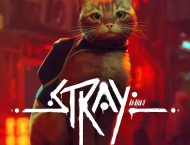 Test Stray : un mélange étonnamment réussi